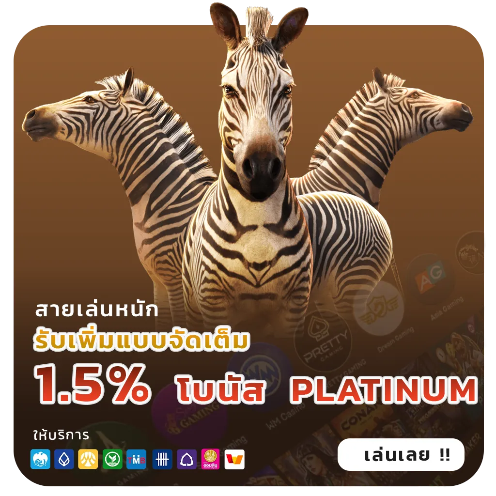 ฝาก-ถอน meetang168